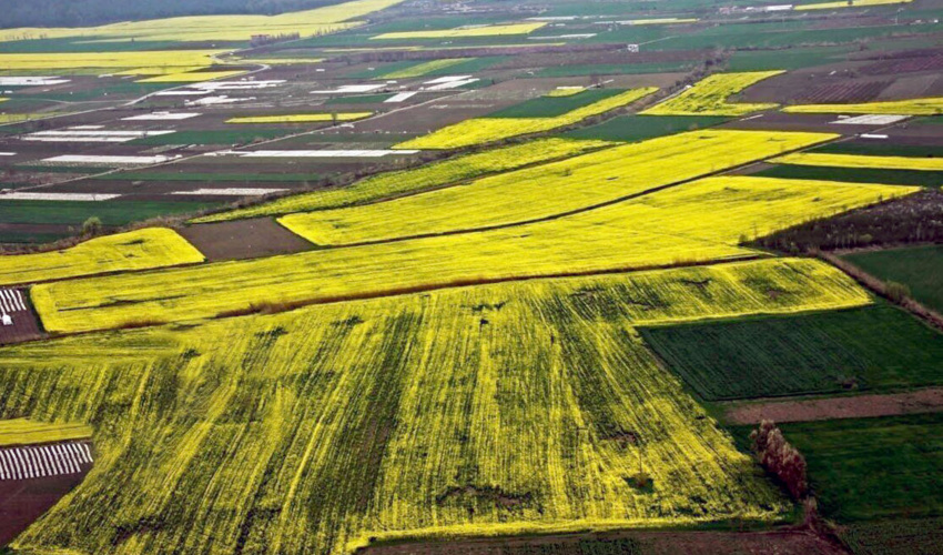 خوزستان/ 200 هزار هکتار از اراضی منابع طبیعی دزفول ممیزی شد