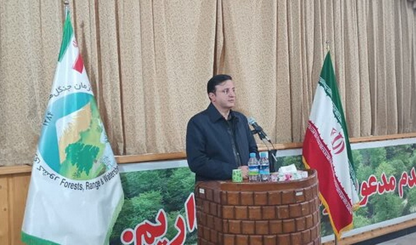 رئیس سازمان منابع طبیعی: مدیریت پایدار عرصه‌های جنگلی با روش‌های سنتی امکان‌پذیر نیست