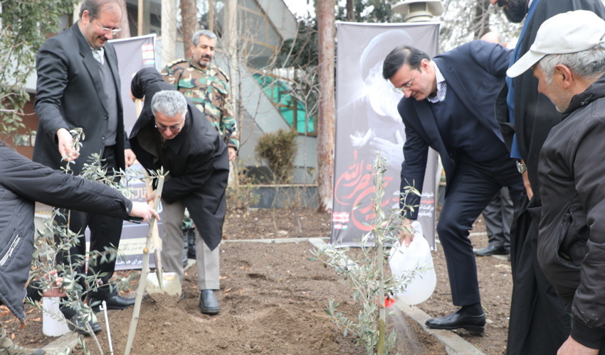 رئیس سازمان منابع طبیعی به یاد شهدای مقاومت درخت کاشت