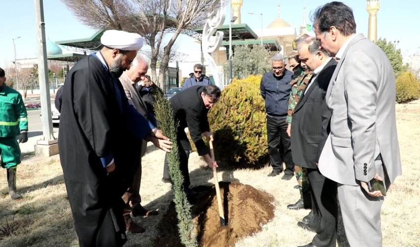 کاشت 10 میلیون  نهال در هفته منابع طبیعی 