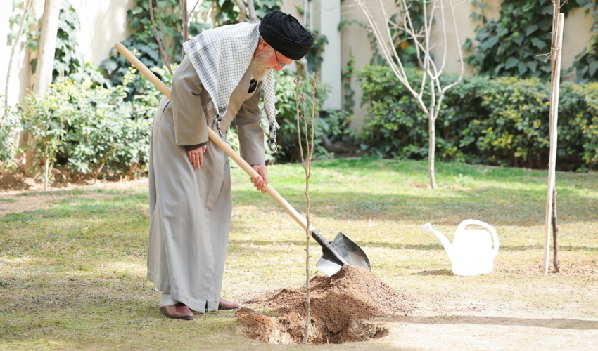 رهبر معظم انقلاب پس از کاشت درخت: نهضت ملی درختکاری را جدی بگیرید