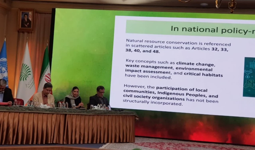 سخنرانی اوسوالدو کینتانیلا لویزا، مشاور منطقه‌ای برنامه توسعه سازمان ملل در امور اقلیم و جنگل‌ها