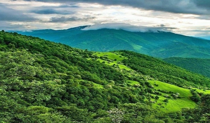  در هفتمین پنل تخصصی آمایش سرزمین و ظرفیت های توسعه زاگرس در اهواز چه گذشت؟!