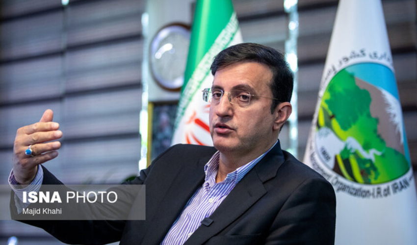 تلاش برای اصلاح پرداختی‌ها به جنگلبانان/ زنان در آستانه ورود به سطوح بالای مدیریتی منابع طبیعی