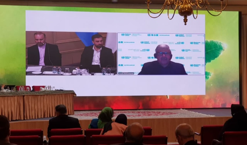 رئیس بخش جنگل‌های سازمان ملل متحد: ایران می‌تواند از فرصت‌های مالی بین‌المللی برای احیای زاگرس بهره‌مند شود