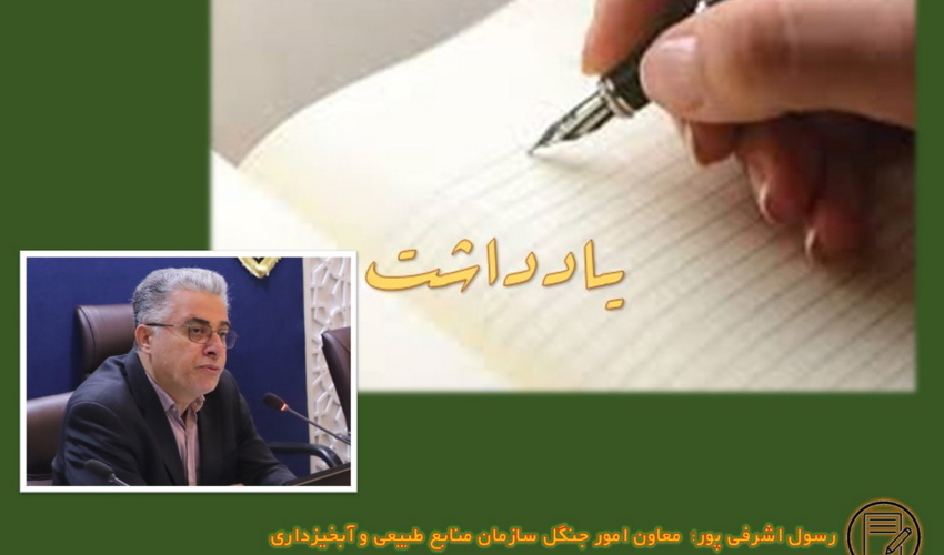 یادداشت/ " بهای سنگین تصویب نامه شورای عالی اداری مصوب 1404/5/11 در حوزه حکمرانی منابع طبیعی"