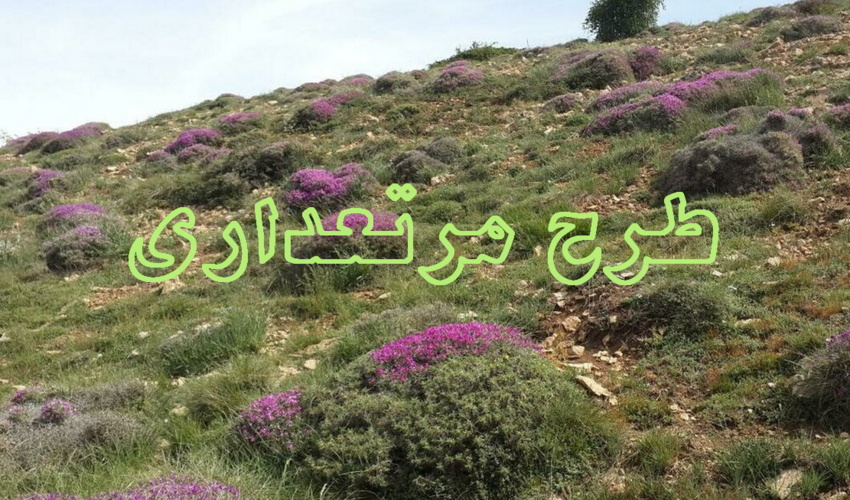 طرح مرتعداری در سطح ۴۵ میلیون هکتار از مراتع کشور