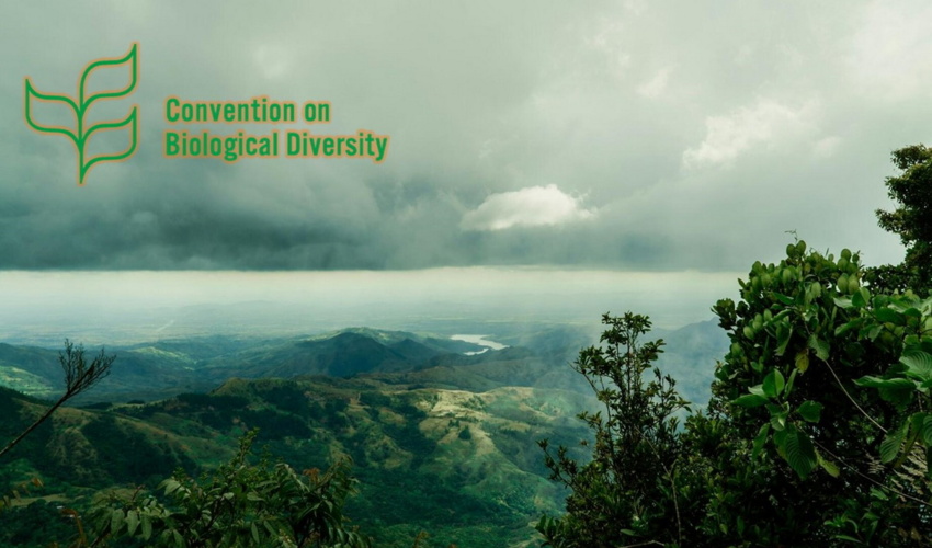 هوش مصنوعی، چالش‌ها و فرصت‌ها برای حفاظت از تنوع زیستی