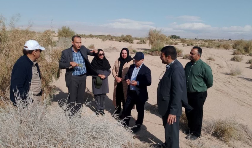 اجرای پایلوت موفق مهارگر زیستی، راهبردی نوین برای نجات تاغزارهای کشور