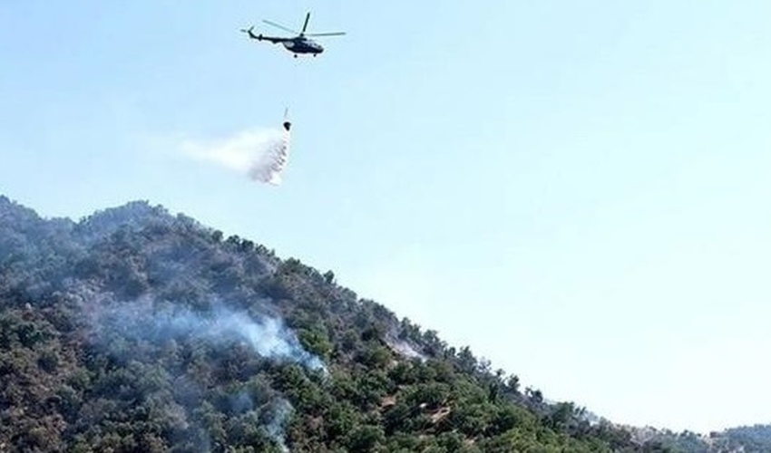 عملیات اطفای حریق جنگل‌های الیت چالوس بدون وقفه ادامه دارد