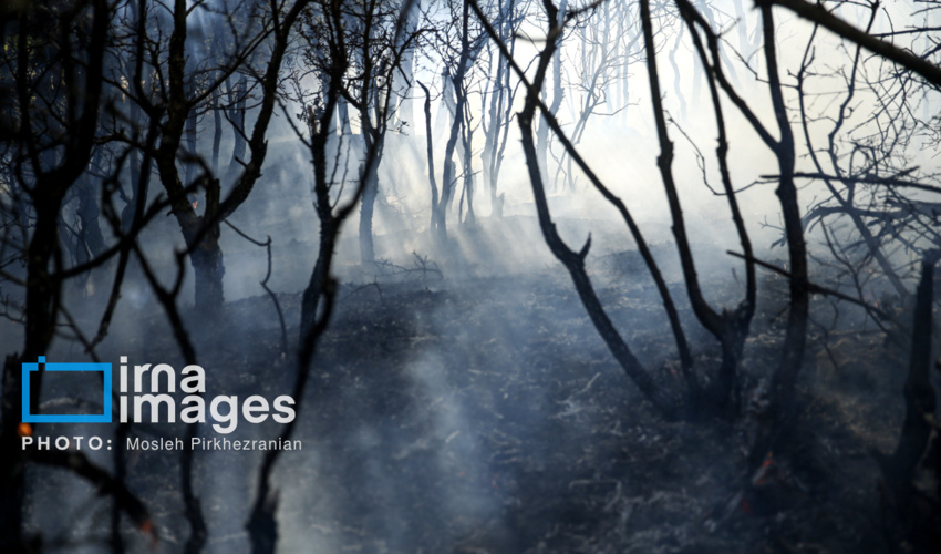 غرب مازندران فاقد پایگاه هوایی اطفای حریق است