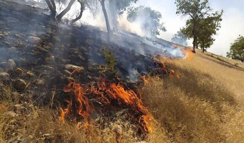 آتش‌سوزی در پارک ملی گلستان و جنگل‌های مینودشت مهار شد