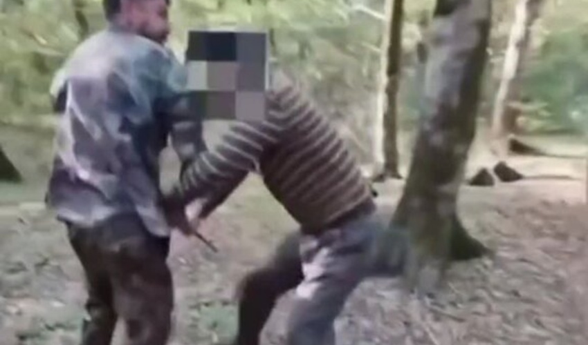 بازداشت قاچاقچی چوب که با «داس و تبر» به جان جنگلبانان آملی افتاد