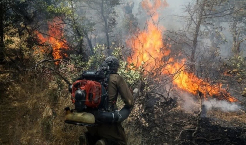 9 هکتار از جنگل‌های گیلان درگیر حریق شد