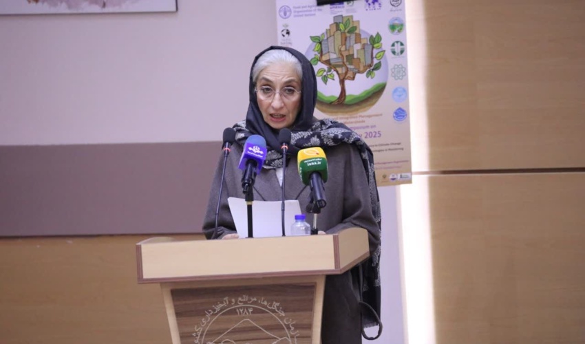 تأکید APDIM بر مدیریت یکپارچه خاک و مقابله با فرونشست و گردوغبار در سمپوزیوم روز جهانی خاک