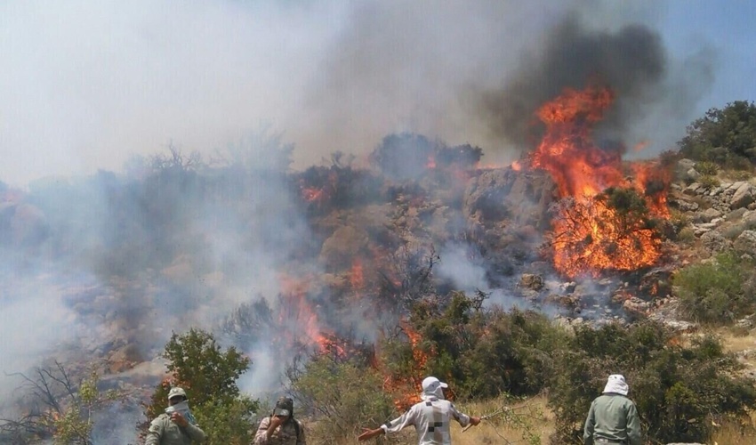 ضرورت ایجاد تشکیلات رسمی برای مقابله با آتش‌سوزی‌های جنگلی