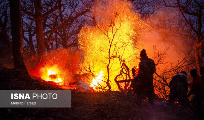 کمیسیون شوراهای مجلس: دخالت انسانی علت اصلی آتش‌سوزی جنگل‌های هیرکانی