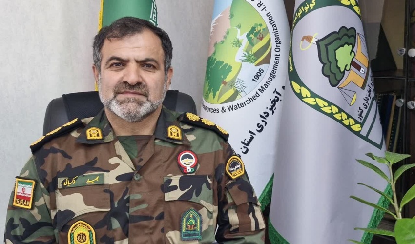 طرح ضربتی مقابله با قاچاق چوب در استان‌های شمالی اجرا می‌شود