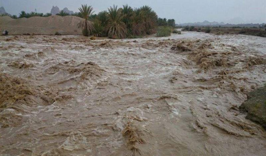 رئیس اداره منابع طبیعی و آبخیزداری خاش مطرح کرد: بارش‌ها فرصتی طلایی برای احیای منابع طبیعی