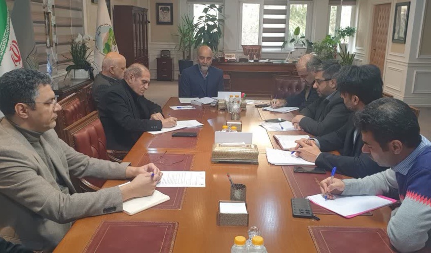 نخستین نشست مشورتی و برنامه‌ریزی فعالیت‌های مشاورین رئیس سازمان منابع طبیعی برگزار شد