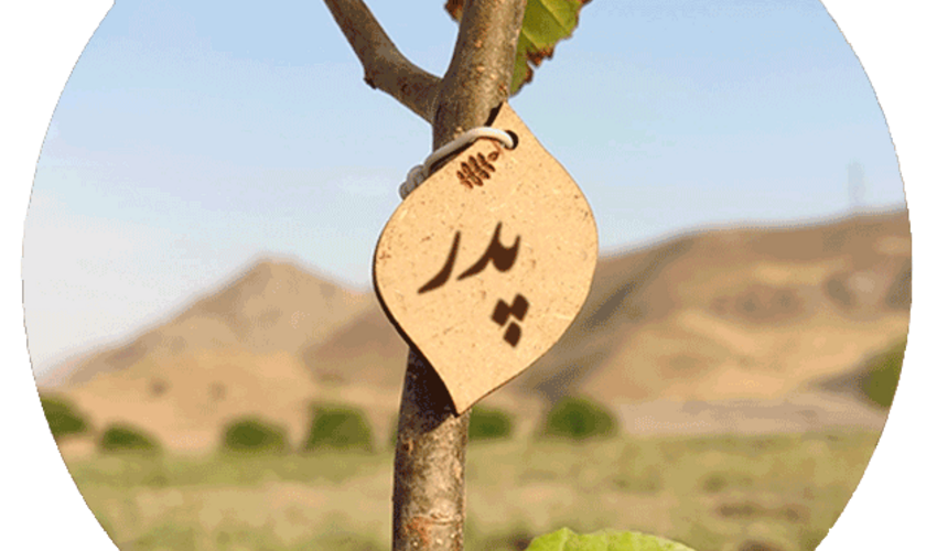 پویش سراسری نهال‌کاری «درختی برای پدر، سبزی برای ایران» همزمان در سراسر کشور برگزار می‌شود