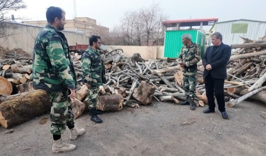 دستگیری قاچاقچی قطع درختان راش در جنگل‌های هیرکانی