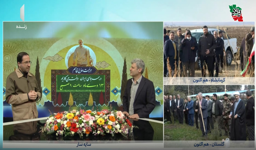 دکتر افلاطونی: درختکاری، راهکاری کم‌هزینه و پایدار برای مقابله با بیابان‌زایی و تغییر اقلیم است