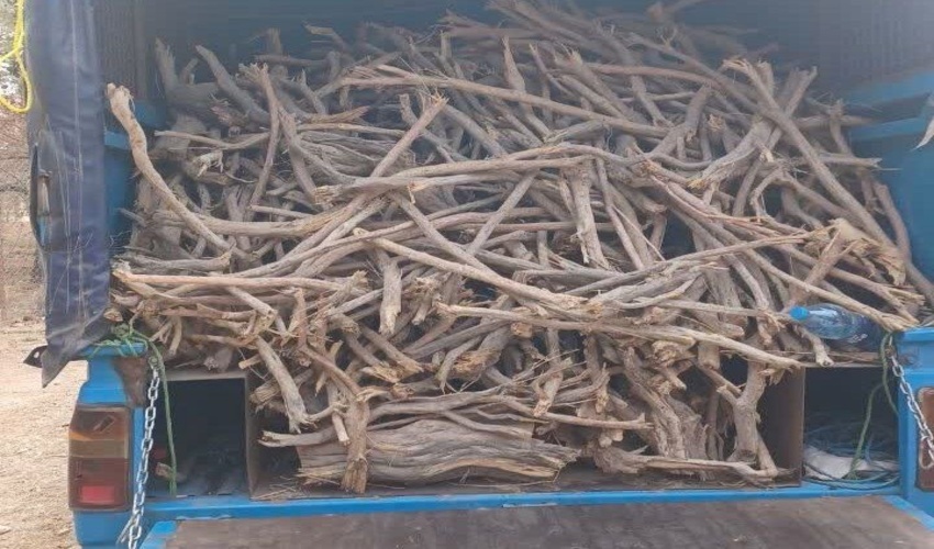 نبرد منابع طبیعی با قاچاقچیان