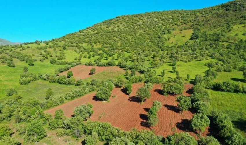 رفع تصرف 348 هکتاری اراضی ملی گیلان