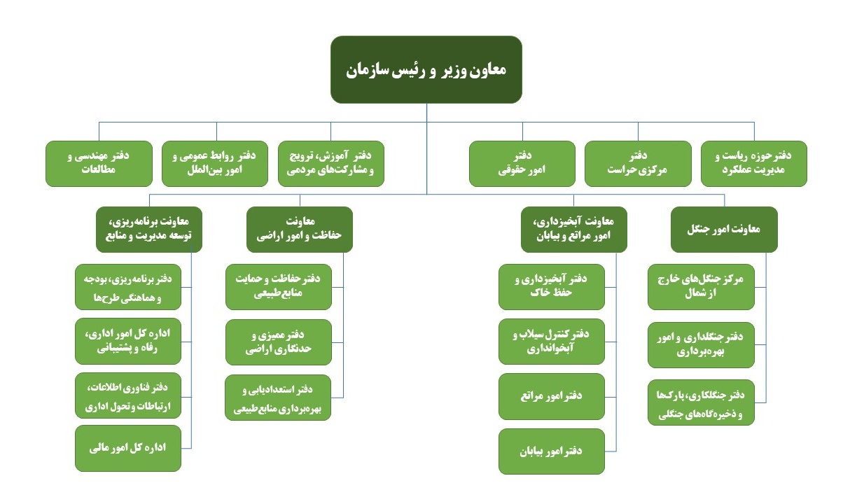 ساختار تشکیلاتی