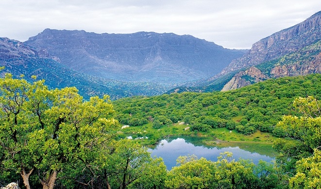 جنگل‌های ایران