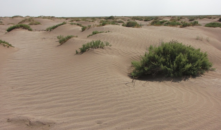 بیابان‌های ایران