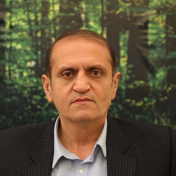 سید ناصرالدین عمادی