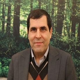 نادعلی محمدپور