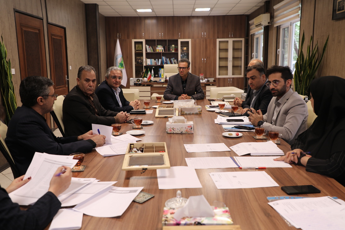 جلسه تعاملی جهت بررسی مشکلات فی ما بین بیمه رازی و سازمان منابع طبیعی و آبخیزداری کشور جلسه تعاملی جهت بررسی مشکلات فی ما بین بیمه رازی و سازمان منابع طبیعی و آبخیزداری کشور