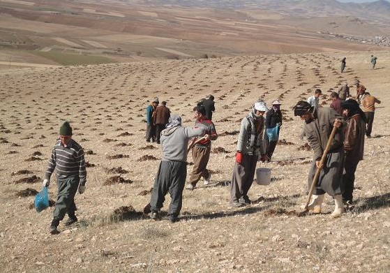 ابلاغ آيين نامه اجرايي بند ب ماده 29 به ادارات كل منابع طبيعی كشور